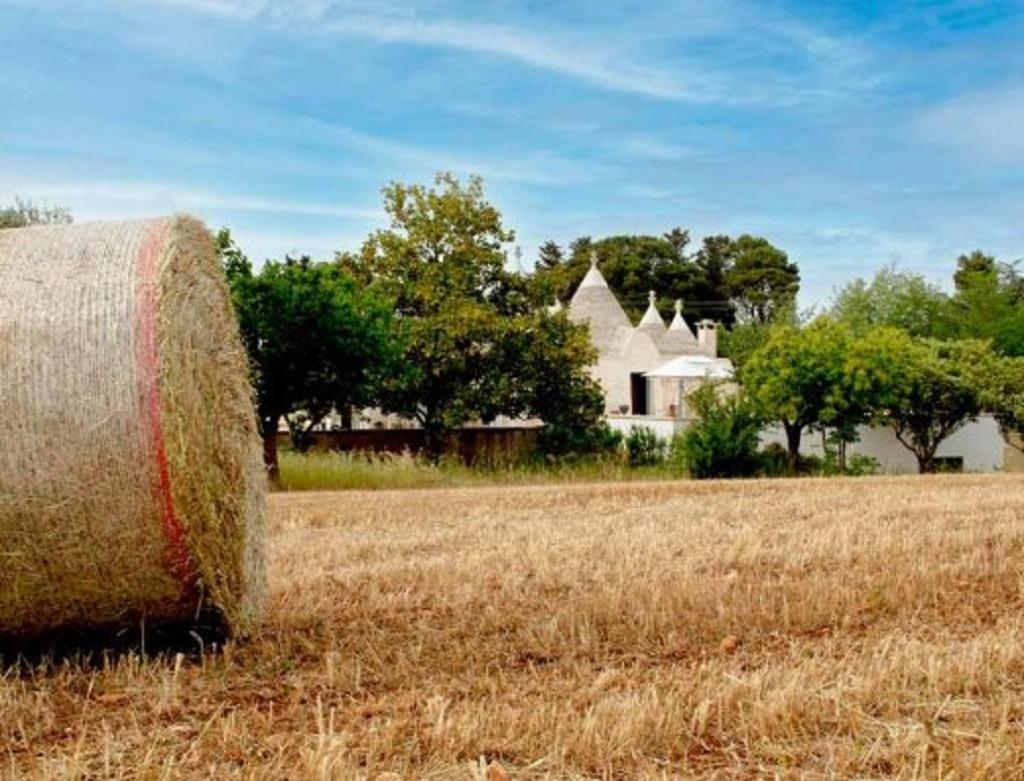 Trulli Delle Rose Βίλα Μαρτίνα Φράνκα Εξωτερικό φωτογραφία